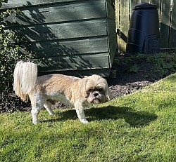 Ben in the garden