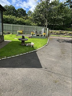 Burnside Gardens