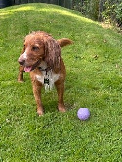 Maggie Aug25