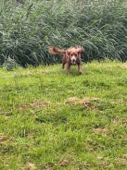 Maggie Aug25